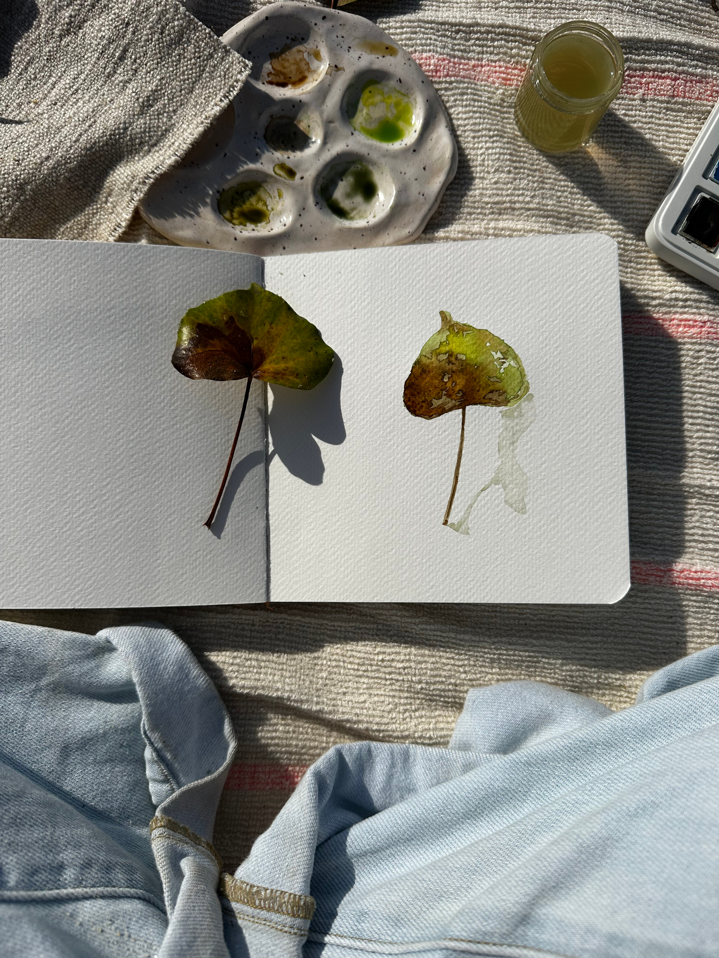 Open sketchbook with two pressed leaves and watercolor study, paint palette nearby
